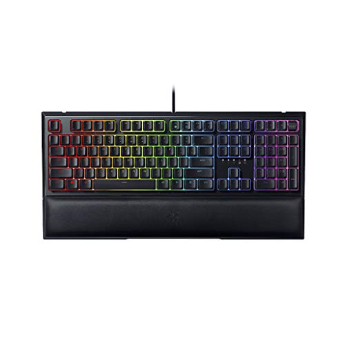 30 meilleurs Clavier Gamer Razer triés sur le volet pour vous